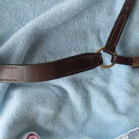 Nunn Finer Breast plate - Picture 6 of 8
